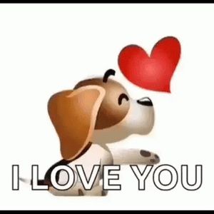 Meet your Posher, Yolanda